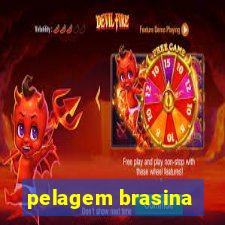 pelagem brasina